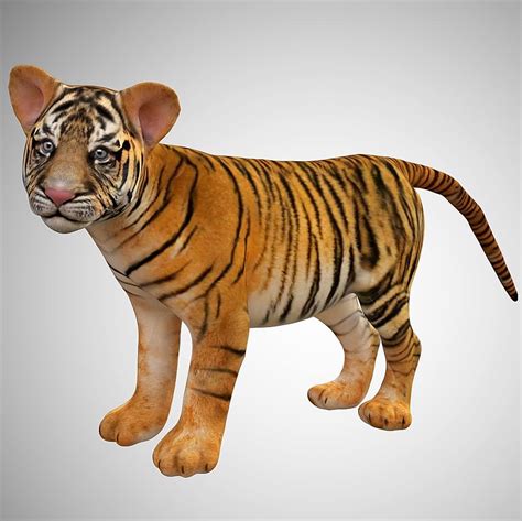 Bengal Tiger 3d Model By Arcmodels Ubicaciondepersonascdmxgobmx