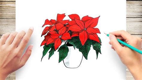 How To Draw Poinsettia Flowers Youtube