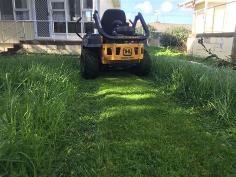 Lawn Mowing West Auckland | Express Lawn Mowing Services