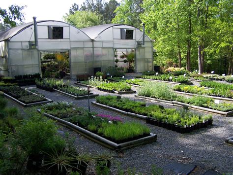 Vegetables, annual flowers, perennial flowers, wild flowers, herbs, lawn grasses … anything imaginable. 25 Luxury Best Garden Nursery Near Me - Lates Trends