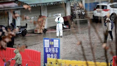Covid Asal Penyebaran Virus Mengarah Ke Pasar Wuhan Di China Bbc