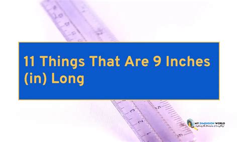 11 Things That Are 9 Inches In Long