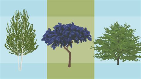Selecting The Right Tree For Your Garden