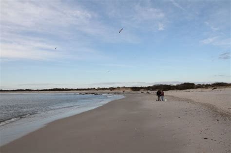 Cove Beach Cape May Picture Of The Day
