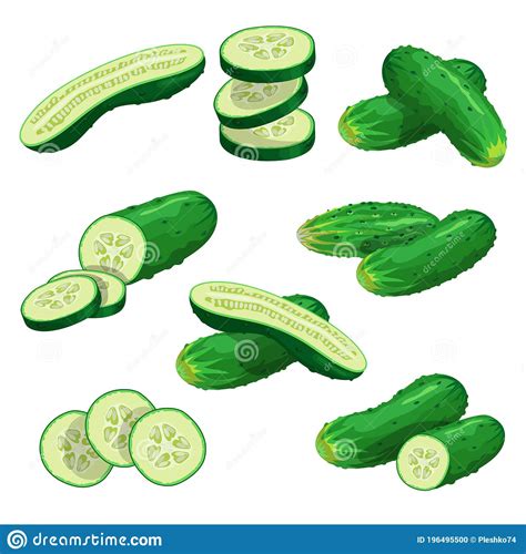 Cartoon Cucumbers Set Whole Cucumbers Half Flying Slices And Cucumbers Group Fresh Farm