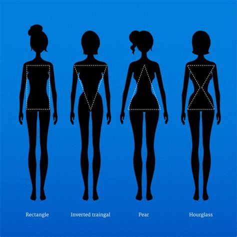 Female Body Types Stock Vector Image By ©sonya Illustration 99689168