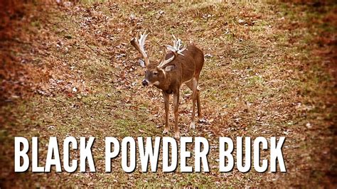 Pennsylvania Black Powder Buck Hunt Youtube