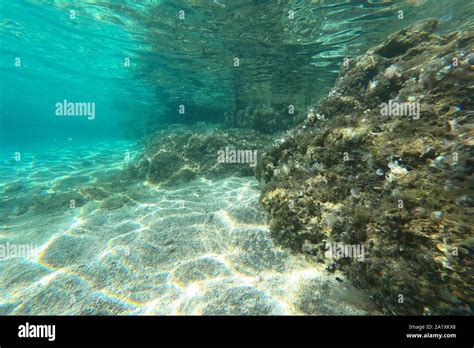 Underwater Rocks Sand And Stones The Beautiful Sandy And Rocky Bottom
