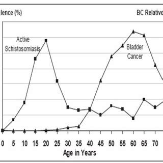 Bladder Cancer Prevalence Of Active Schistosomiasis AS By Age And Download Scientific