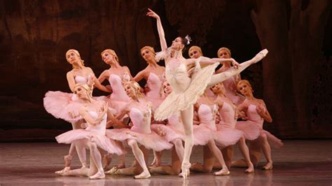 The Mariinsky Ballet The Sleeping Beauty Ncpa China