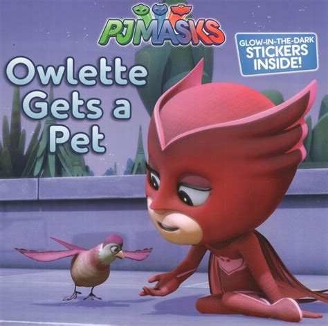 Owlette Gets A Pet Pj Masks 8x8