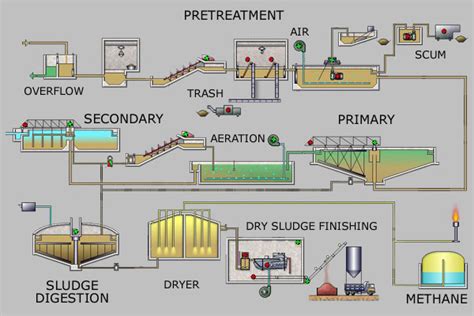 The tanks' design promotes settling — organic solids collect at the bottom of the tank, and lighter substances float to the top for removal. 17.3B: Wastewater and Sewage Treatment - Biology LibreTexts