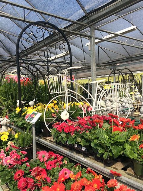 Did you look for flower delivery near me? Plant nursery and garden center tips to help you choose ...