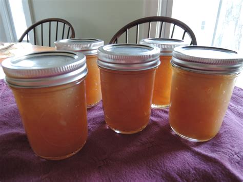 Honeyed Pear Lemon Marmalade Pomona Pectinpomona Pectin