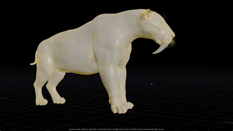 Anatomy Compared Smilodon Populator Vs Modern Lion Youtube