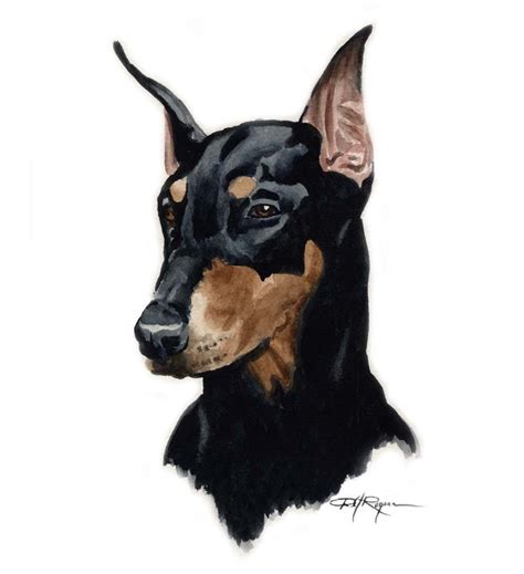 Doberman Pinscher Dog Art Print Signed By Artist Dj Rogers Etsy