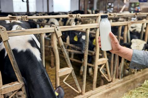奶牛生产的牛奶高清图片下载 正版图片507705363 摄图网