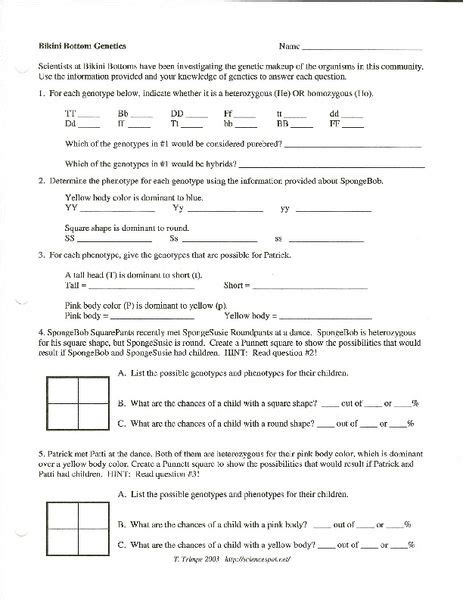 Navigation spongebob genetics worksheet answer key spongebob genotype worksheet answers | akademiexcel.com Bikini Bottom Genetics Worksheet for 7th - 12th Grade ...
