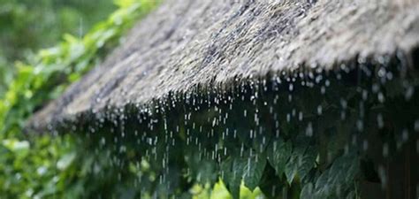 Marked by or abounding with rain. When is the Rainy Season in Bali and Why it Doesn't Matter?