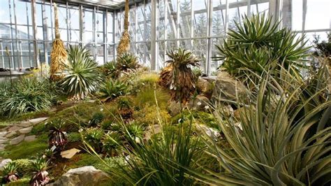 Er hat die schwerpunkte ökologie und umwelt in forschung und lehre. Auch das Freigelände: Botanischer Garten der Uni komplett ...