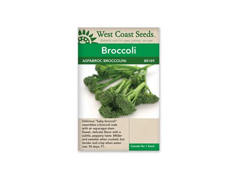 Aspabroc F1 Broccolini 25 Seeds Krishi Indoor Farm Ltd