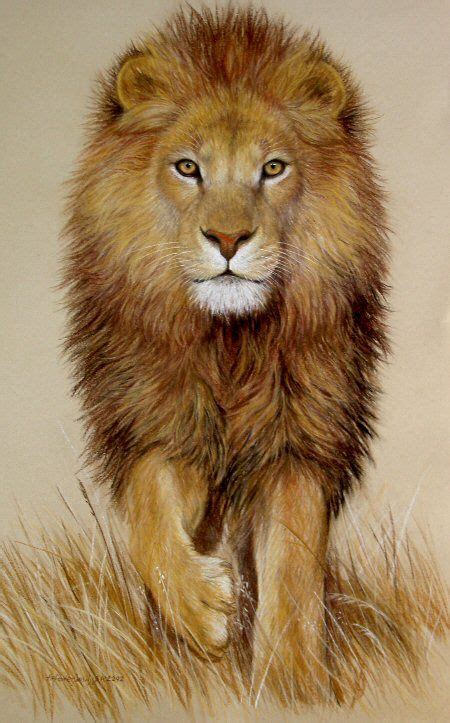 Amazing Realistic Lion Drawing Art Pinterest Lions Colored