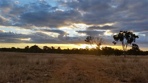 Australian Landscape Dirt Road Sunset Sunrise Stock Video Footage 00