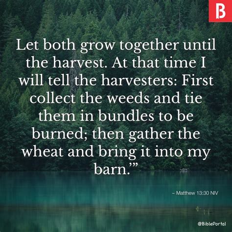 What Does The Bible Say About Harvest Time