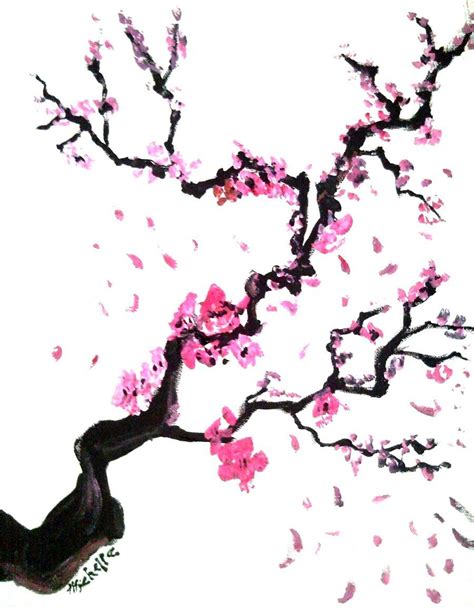 Cherry Blossoms Cherry Blossom Drawing Cherry Blossom Art Cherry