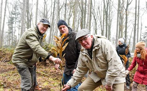 Exploring the relationship between people, business & the economy. 2.000 neue Bäume für den Dyckburger Wald - Antenne Münster