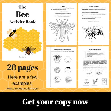Printable Honey Bee Activity Sheets