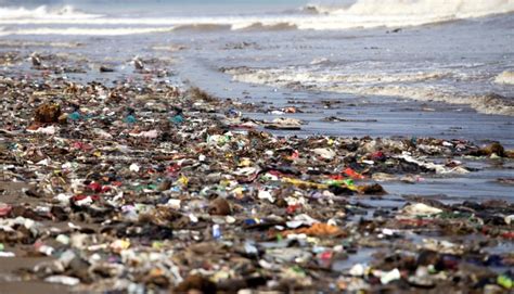 Sign Petition Stop Single Use Plastic ·