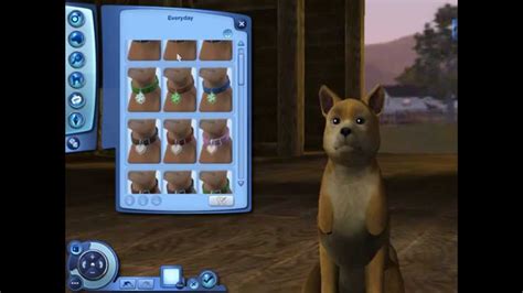 Sims 3 Pets Lp Getting A Dog Episode 3 Youtube