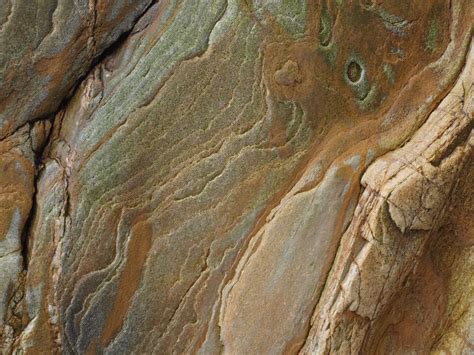 Free Images Tree Nature Rock Wood Texture Trunk Formation