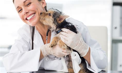 Learn what should be included, and why you may want to have a current copy. Veterinarian Jobs & Vet Jobs @Vet&Pet Jobs Marketplace ...