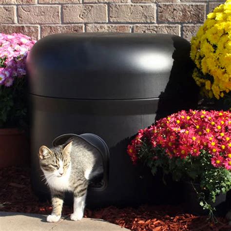 Diy Outdoor Cat Shelter For Summer 30 Best Diy Outdoor Cat House
