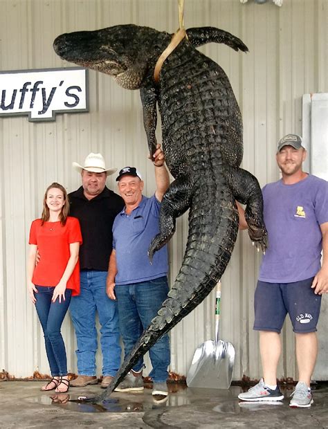 Swamp People 12 Footer Coming To Cleveland Bluebonnet News