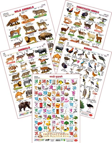 Spectrum Educational Large Wall Charts Set Of 5 Wild Animals