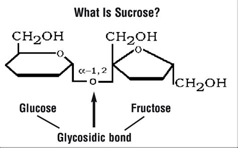 What Is The Difference Between Sucrose Glucose And Fructose Vinmec