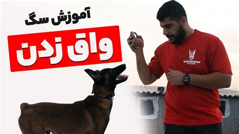 آموزش سگ آموزش واق زدن صحبت کردن به سگ ها Youtube