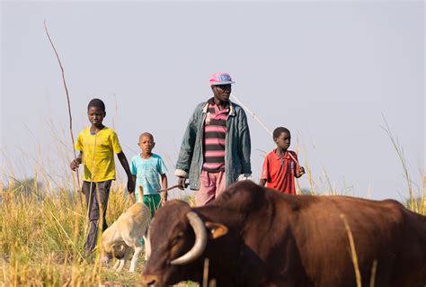 Rangeland, range management and importance of. Community Based Rangeland Management in Namibia | The ...