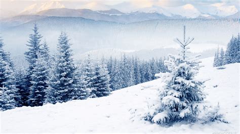 60 Free Winter Pictures Wallpapers Wallpapersafari