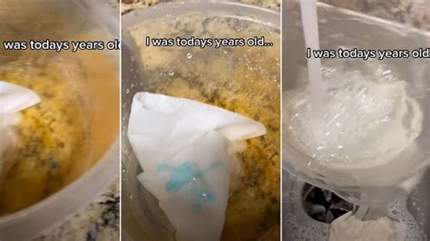Plastic containers won't stay clean for long, with stains gathering as soon as you store food in them. 'Genius' cleaning hack reveals how to remove stubborn ...