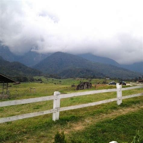 Did you mean des cattle sabah sdn bhd? Desa Cattle (Sabah) Dairy Farm Sdn. Bhd. - Kundasang, Sabah