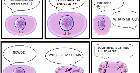 Sports News Mitosis Cartoon Strip