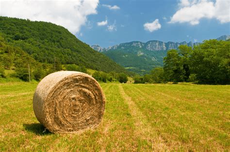 Round Hay Bales Why Theyre Round Uses And Cost