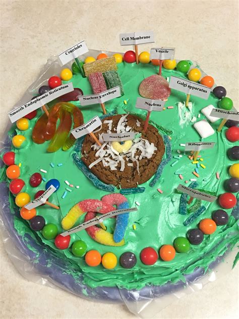 How To Make An Animal Cell Cake In 10 Steps Artofit