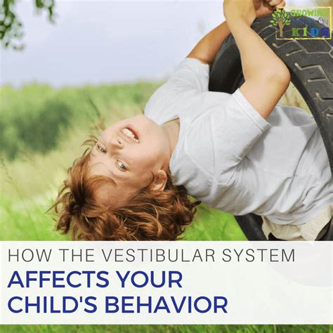 How The Vestibular System Affects Your Childs Behavior Kids Behavior