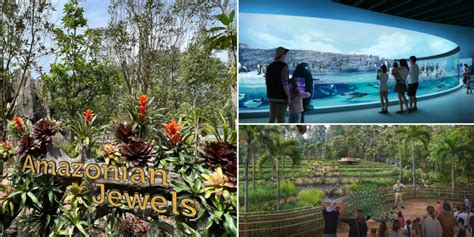 Mandai Bird Paradise To Open In 2023 Has 8 Areas Including Rainforests