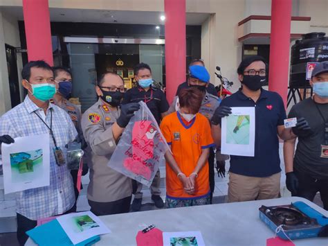 Video viral di masukin botol. Pembunuhan Wanita dalam Kardus, Gara-gara Uang Tips Rp300 Ribu